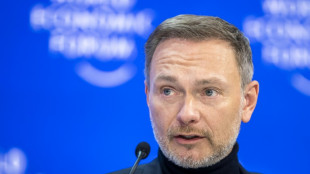 Unterst&uuml;tzung f&uuml;r Lindners Plan zu Kinderfreibetrag - Gr&uuml;ne: Auch mehr Kindergeld