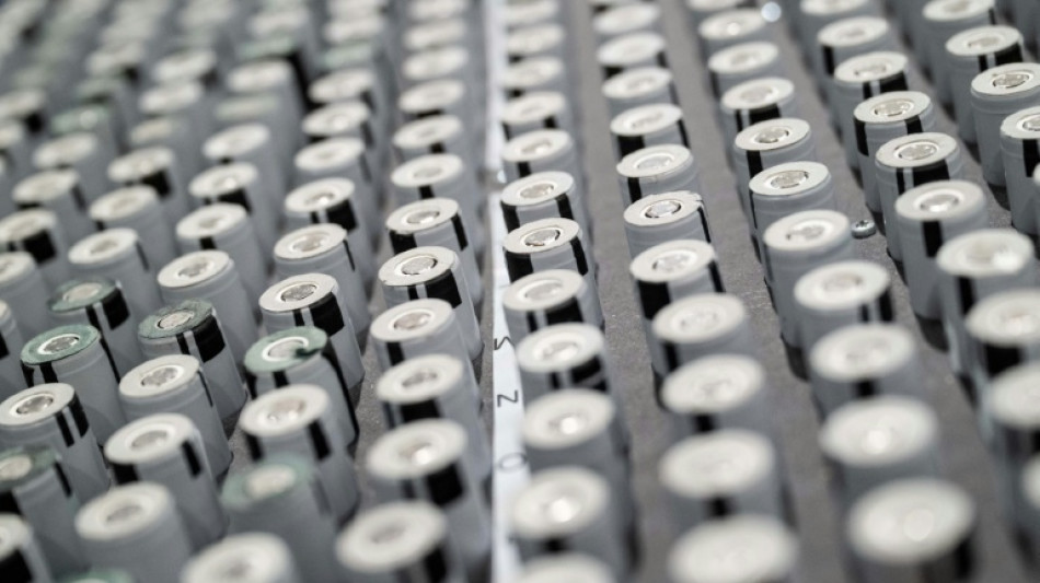 Zimbabwe lithium export ban triggers crackdown, concerns