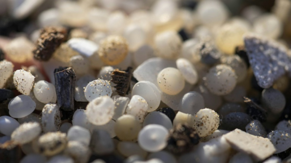 Le Parlement europ&eacute;en adopte des r&egrave;gles plus strictes contre la pollution aux microplastiques