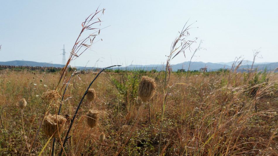 Via libera ai dissalatori anti-siccit&agrave; in Sicilia