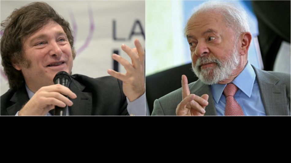 Milei, um vizinho inc&ocirc;modo para o Brasil de Lula
