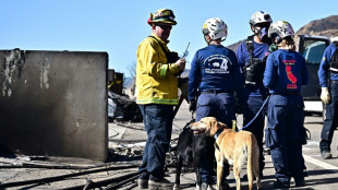 A Los Angeles, la recherche de victimes se poursuit m&ecirc;me &agrave; cheval