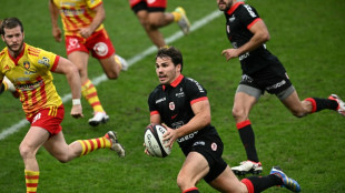 Toulouse bring back World Cup stars in win over Perpignan