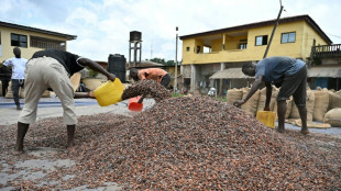 En C&ocirc;te d'Ivoire, le "casse-t&ecirc;te" des stocks de cacao qui s'accumulent 