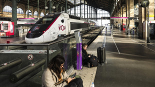 Treni Parigi-Milano interrotti per 'diversi giorni'