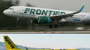 Spirit Airlines rechaza una oferta p&uacute;blica de compra de JetBlue y prefiere la de Frontier