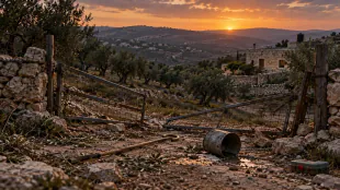 هجمات متفرقة للمستوطنين تصيب فلسطينيين وتستهدف منازل ومزارعي زيتون
