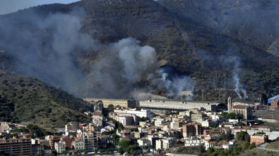 Controlado el incendio en la frontera de Espa&ntilde;a con Francia 