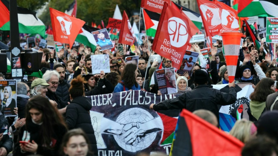 Paris protesters call for Gaza ceasefire