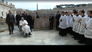 Il Papa in piazza San Pietro, 'buona Domenica delle Palme!'