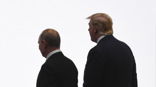 Trump, 'sto discutendo importanti accordi economici con Putin'