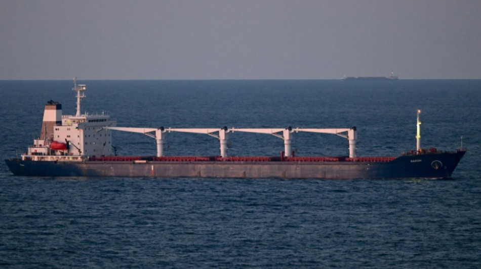 Erstes Schiff mit ukrainischem Getreide vor t&uuml;rkischer K&uuml;ste eingetroffen