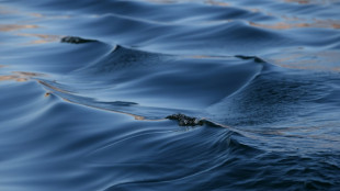 Weiterer Toter drei Wochen nach Sportbootunfall in Brandenburg gefunden