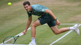 Tennis: Hurkacz s'attaque &agrave; Medvedev en finale &agrave; Halle