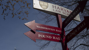 Italiano ad Harvard, 'tanti rischiano l'addio'