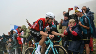 Tour de France: un Vauquelin accrocheur en apprentissage accéléré