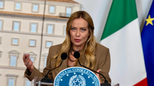 Meloni, AfD si afferma perch&eacute; Grosse Koalition non d&agrave; risposte chiare