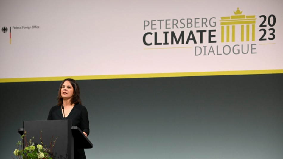 Aufrufe zu mehr erneuerbaren Energien bei Klimadialog in Berlin