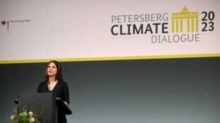 Aufrufe zu mehr erneuerbaren Energien bei Klimadialog in Berlin