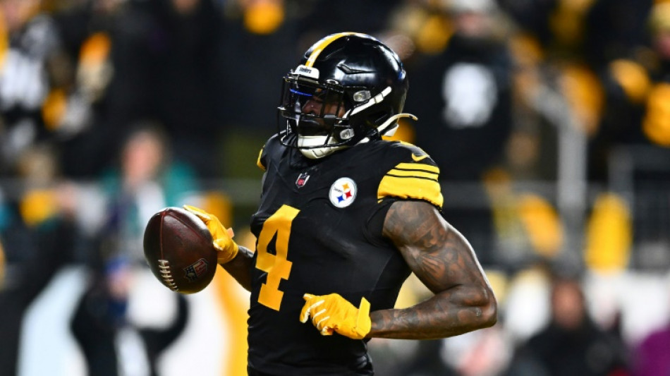 Steelers receiver Metcalf strikes Lions fan