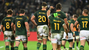 Springboks back in contention after win - Erasmus