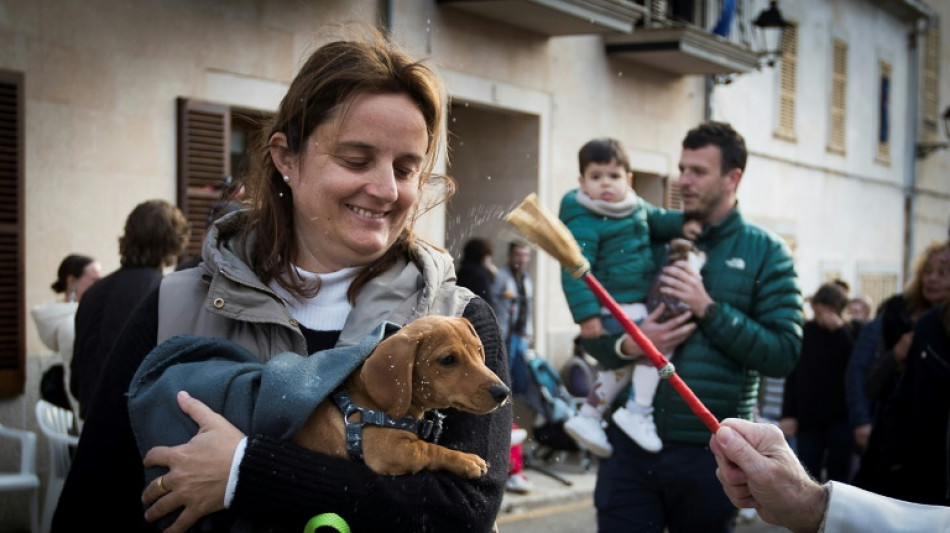 Espa&ntilde;a aprueba una ley contra el maltrato animal