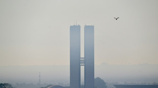 Entre contaminaci&oacute;n e incendios, Brasil se ahoga