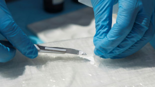 Mehrj&auml;hrige Haftstrafen wegen Kokainschmuggels f&uuml;r Hafenmitarbeiter in Hamburg