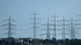 Kabinett beschließt Senkung der Stromsteuer und Netzkostenzuschuss