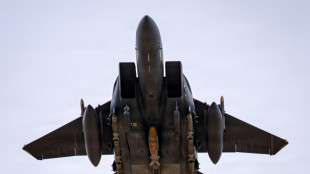 Trump: Zweites Besatzungsmitglied nach Abschuss von US-Kampfjet im Iran gerettet