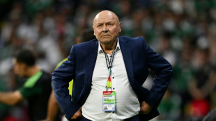Czech Republic coach Koubek quits after World Cup flop