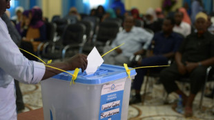 Somalia elige nuevo presidente con m&aacute;s de un a&ntilde;o de retraso
