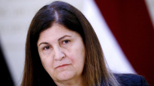 Ministra Anp a Italia, 'siete vicini a riconoscimento, fatelo'