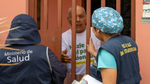 Brigadas buscam combater a dengue no territ&oacute;rio peruano