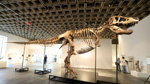 'Gus' the T. rex presented in New York ahead of auction
