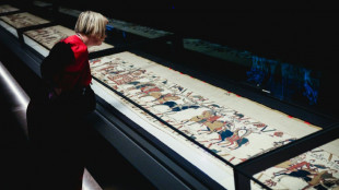 British Museum bans photos of Bayeux Tapestry as crowds linger