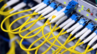 Internet perturb&eacute; dans de grandes villes apr&egrave;s un sabotage de fibres optiques