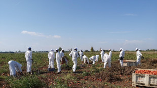 Nordio, in ddl difesa alimenti italiani reato agropirateria