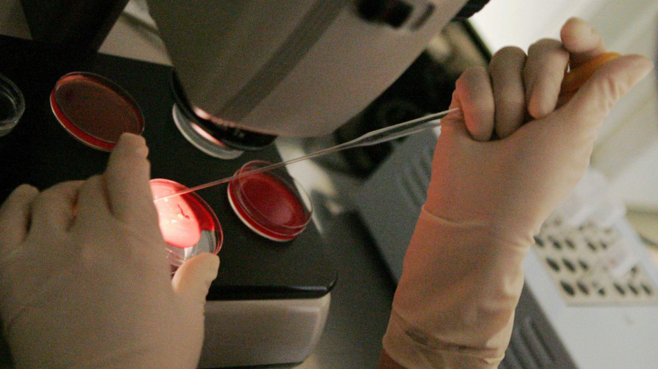 Scambio di provetta, impiantato l'embrione sbagliato al San Raffaele di Milano