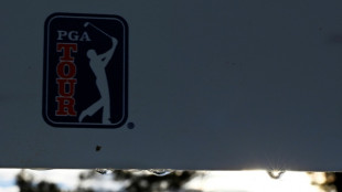 Endeavor boss says PGA Tour rejects partnership bid: report