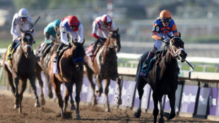 Fierceness roars to Breeders' Cup Juvenile victory
