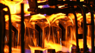 Arc France: il faudra "redimensionner le site" d'Arques, pr&eacute;vient le candidat repreneur