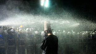 AFP fordert "sofortige Freilassung" von in T&uuml;rkei festgenommenem Journalisten