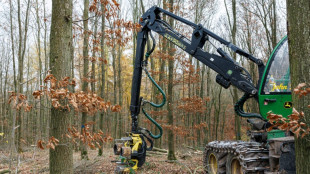 Bois plutôt que pétrole: le pari d'un industriel face à la crise de la chimie allemande