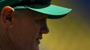 All Blacks' attack coach Schmidt -- No 'Ordinary Joe' 