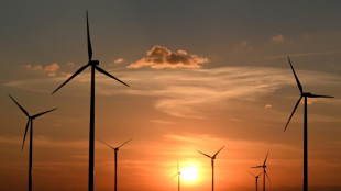 Leistung von Windr&auml;dern an Land 2022 um rund vier Prozent gestiegen