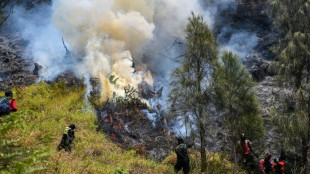 Indonesia lucha contra un incendio en el monte Bromo mientras se instala El Ni&ntilde;o