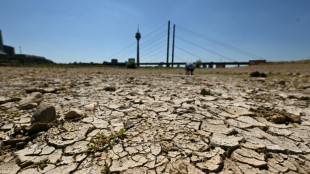 Anhaltende Trockenheit: Rheinpegel bei D&uuml;sseldorf auf historischem Tief