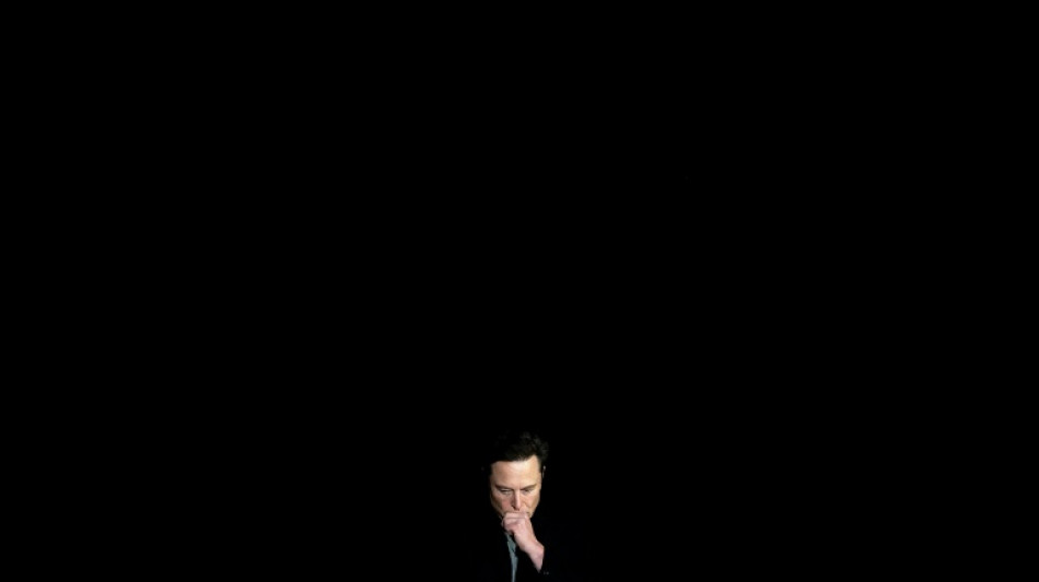 Elon Musk, &iquest;un verdugo de las &eacute;lites o un pragm&aacute;tico ego&iacute;sta?