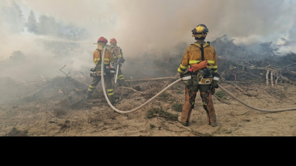 "Metro a metro": Bomberos extranjeros llegan a combatir incendios forestales en Canad&aacute;